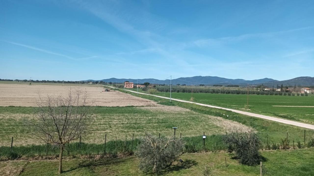 Podere 660 Appartamento Il Giuggiolo Marrucheto Esterno foto